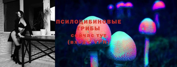 спайс Баксан