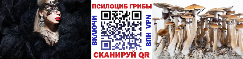 Галлюциногенные грибы ЛСД  Беслан 