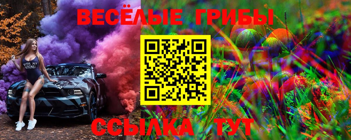 Псилоцибиновые грибы Psilocybe Беслан
